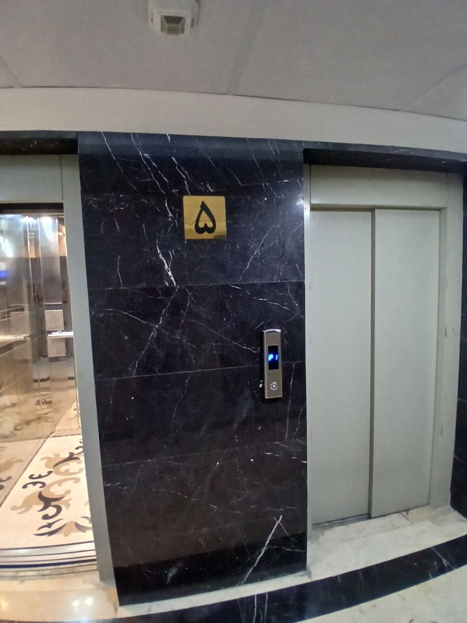 5985557529011883824