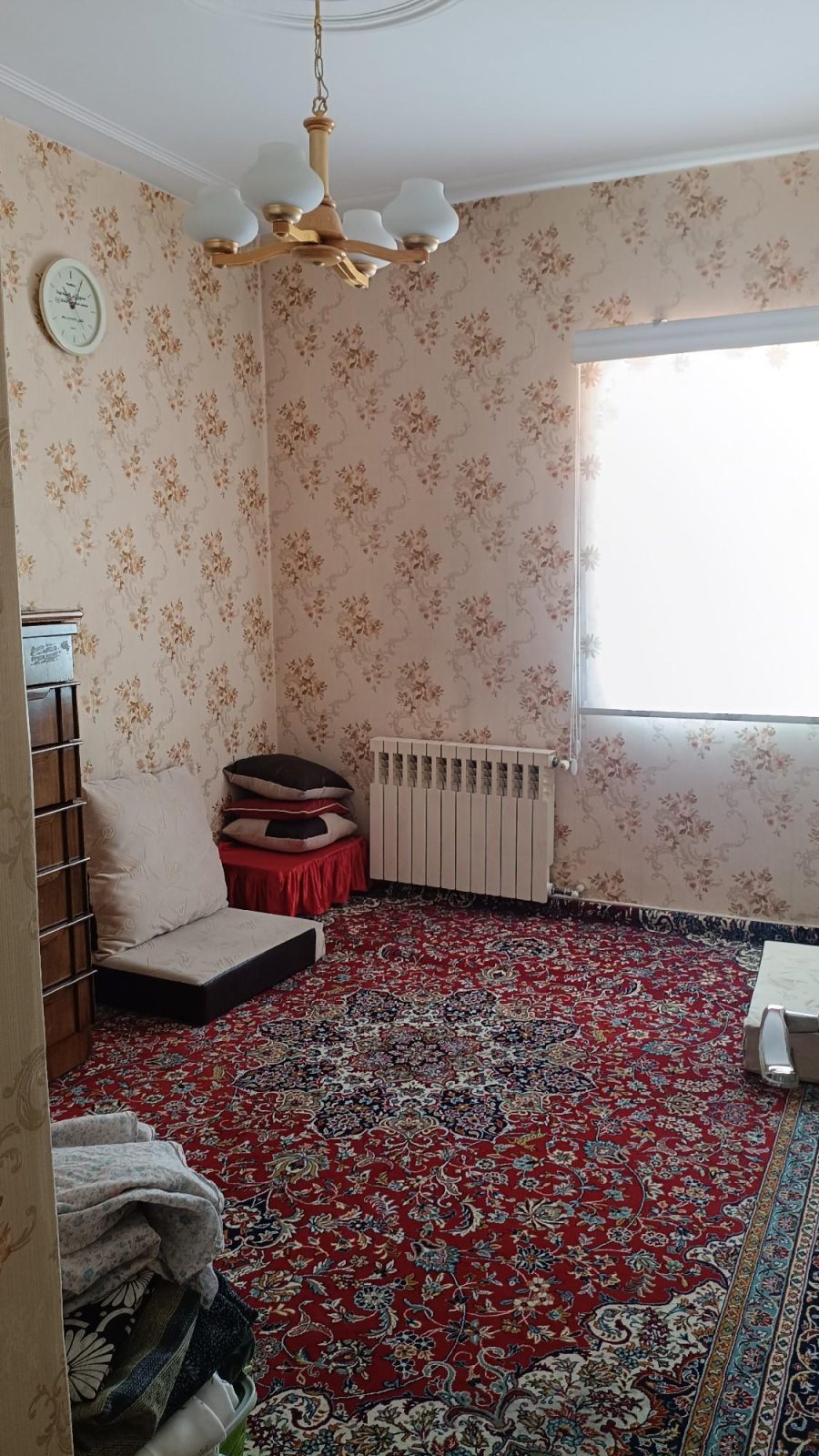 scaled_1000025778.jpg_compressed